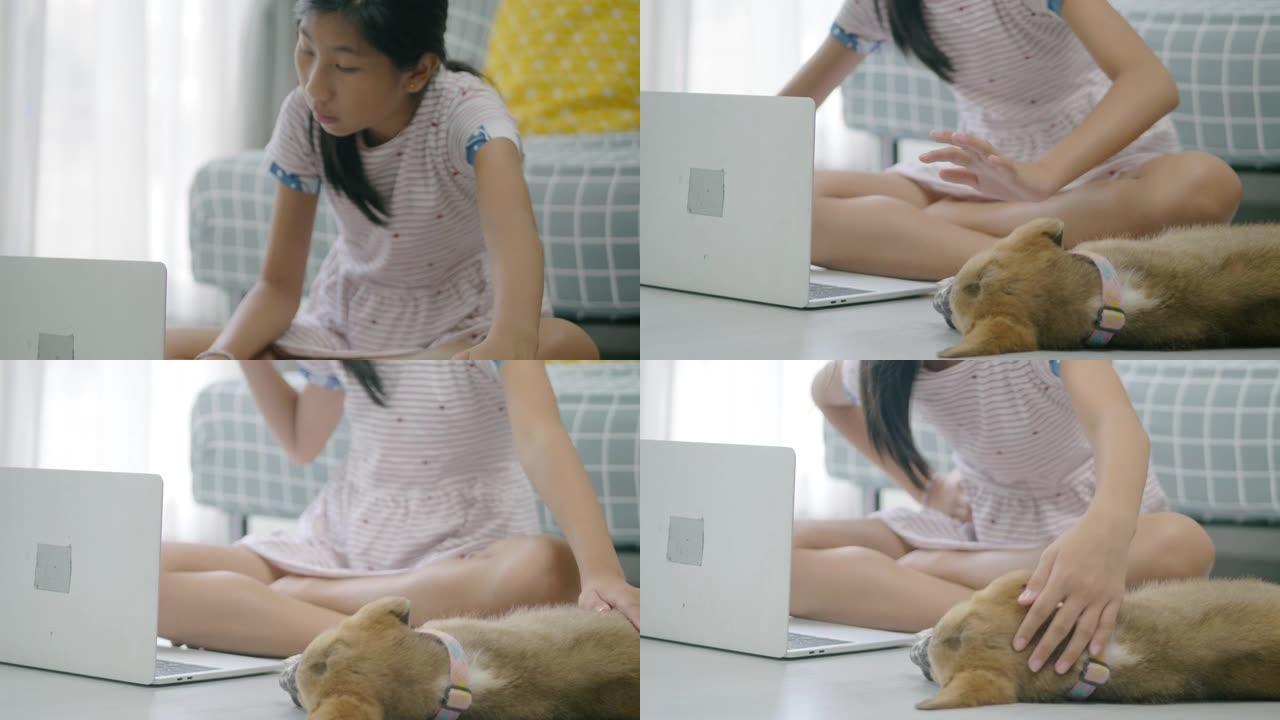 亚洲女孩使用笔记本电脑和她的狗在家里玩，同时在线学习，呆在家里的概念。