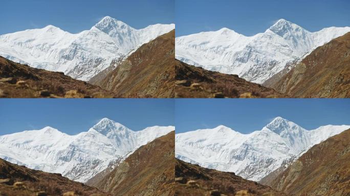 安纳普尔纳 (Annapurna) 地块的巨大积雪在晴朗的蓝天上占主导地位