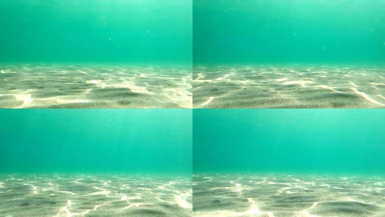 从下面看透明清水、海底和海面的水下海景背景