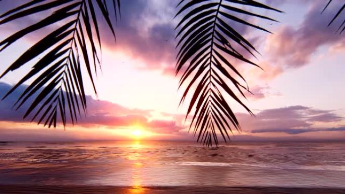 一望无际的海洋上的红色夕阳。红色的天空，黄色的太阳，棕榈树，美丽的海洋和海景。海边夏天令人惊叹的日落