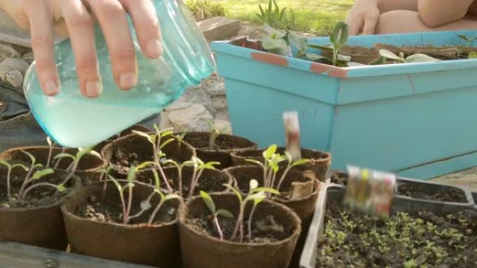 成年女性春季园艺与植物启动器在春季视频