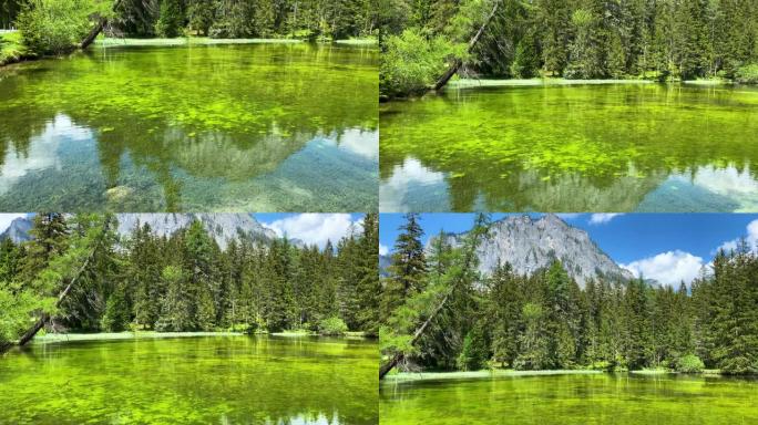 奥地利绿色湖奥地利绿色湖森林湖水绿水青山