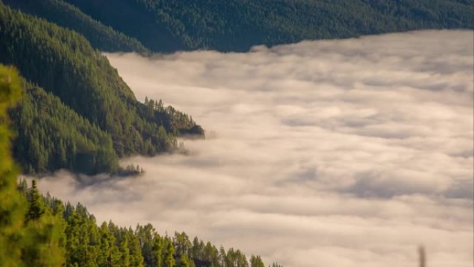 特内里费岛森林山顶云层全景延时4k西班牙