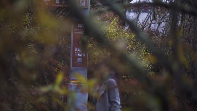 航拍 西藏 巴松措湖 5A景区 高山峡谷