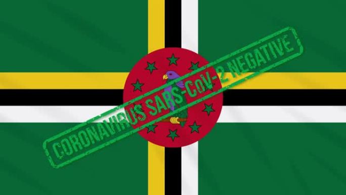 多米尼加挥舞着印有免受冠状病毒感染的绿色印章的旗帜，循环