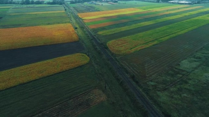 在广阔的田野上飞行，农业植物生长，铁路建在田野中间。