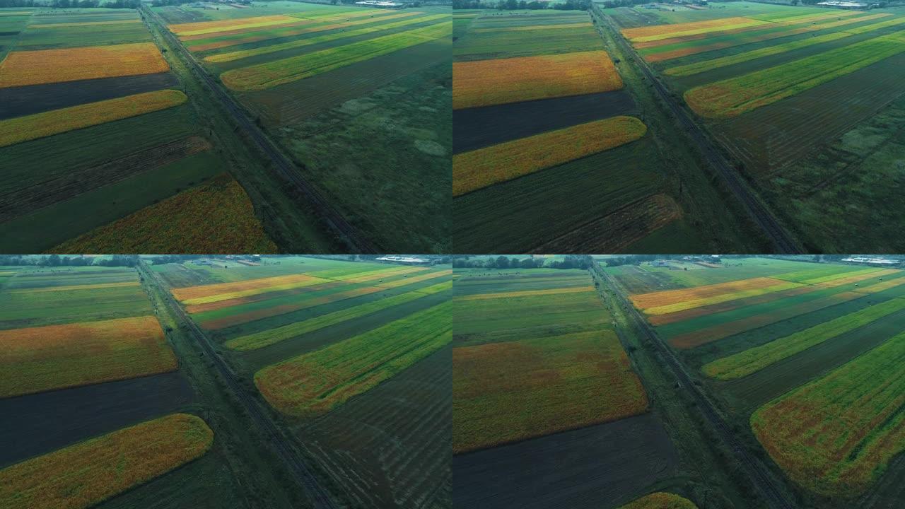 在广阔的田野上飞行，农业植物生长，铁路建在田野中间。