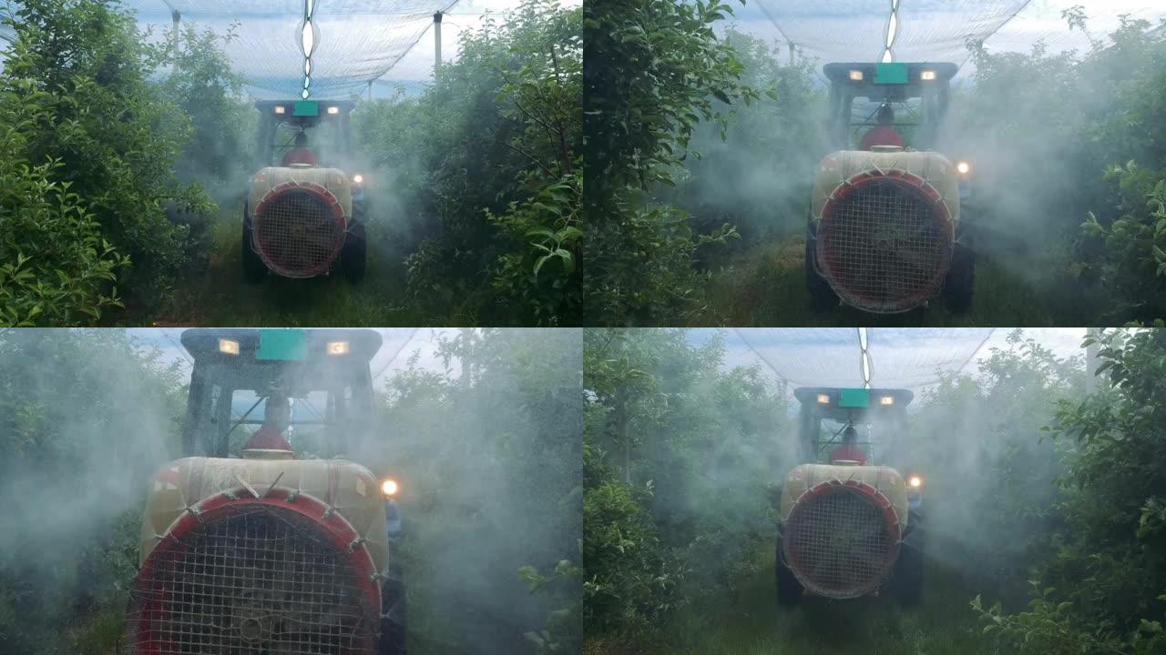 拖拉机在苹果园喷洒杀虫剂或杀真菌剂-拖拉机后喷洒薄雾