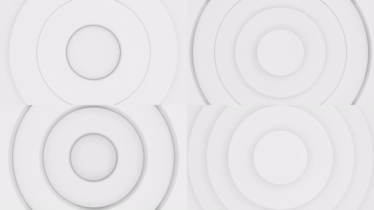 白色圆圈动画的无缝循环抽象模式。