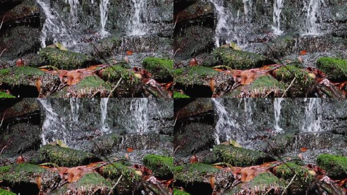 小瀑布的景色在石墙上流动，周围是青苔和树叶的绿色背景。瀑布的特写镜头，泉水落在岩石上