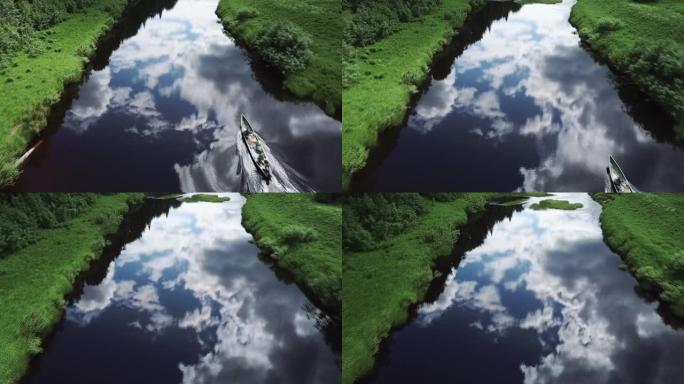 空中无人机视图: 飞越松树森林。自然，旅行。无人机飞越针叶林。