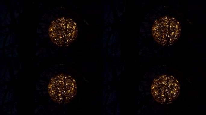 爱沙尼亚塔林的树上挂灯球