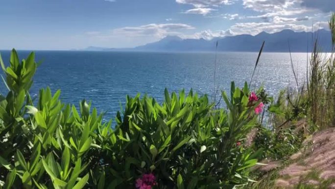 土耳其安塔利亚的夹竹桃灌木花、山脉和地中海海景。假日自然全高清视频。