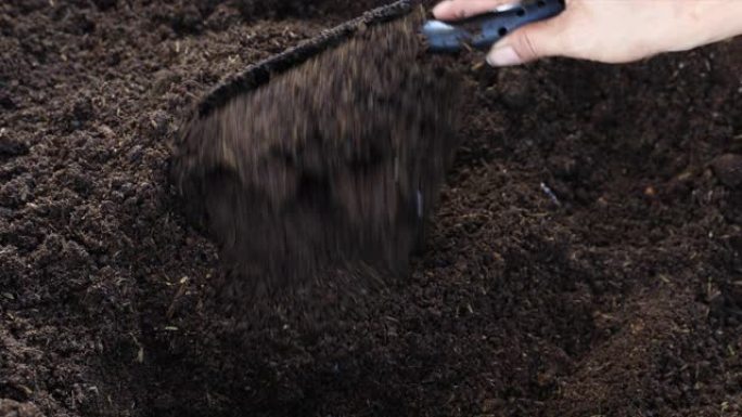 在菜园的大托盘中，将土壤与有机肥料中的养分混合倒入。有机农业概念。