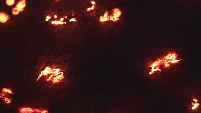 燃烧钢丝绒的宏观镜头 # K4HC005