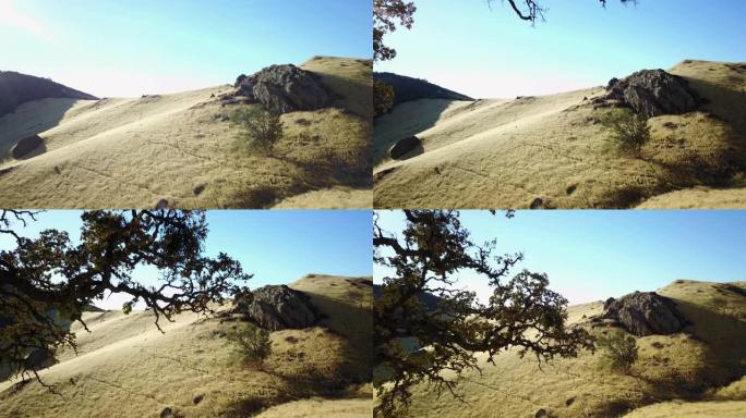 美丽的橡树空中揭示干燥的圣巴巴拉菲格罗亚山镜头耀斑