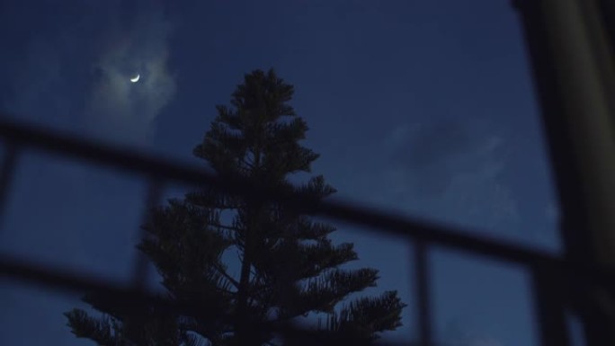 多莉透过窗户栏杆拍摄半月
