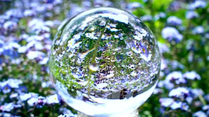 水晶球反射，背景上有美丽的蓝色花场，自然世界纹理概念