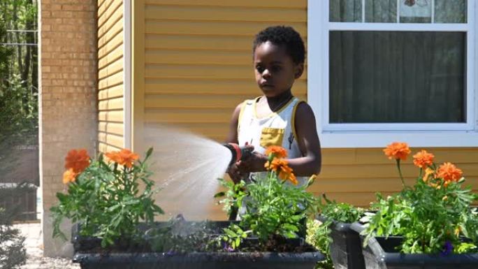 母子园艺插花种植浇灌黑人