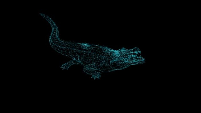 黑色背景上鳄鱼攻击的线框动画
