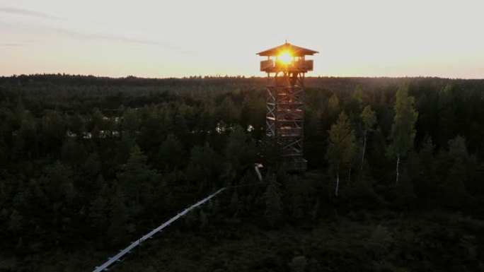 爱沙尼亚沼泽守望台的风景鸟瞰图