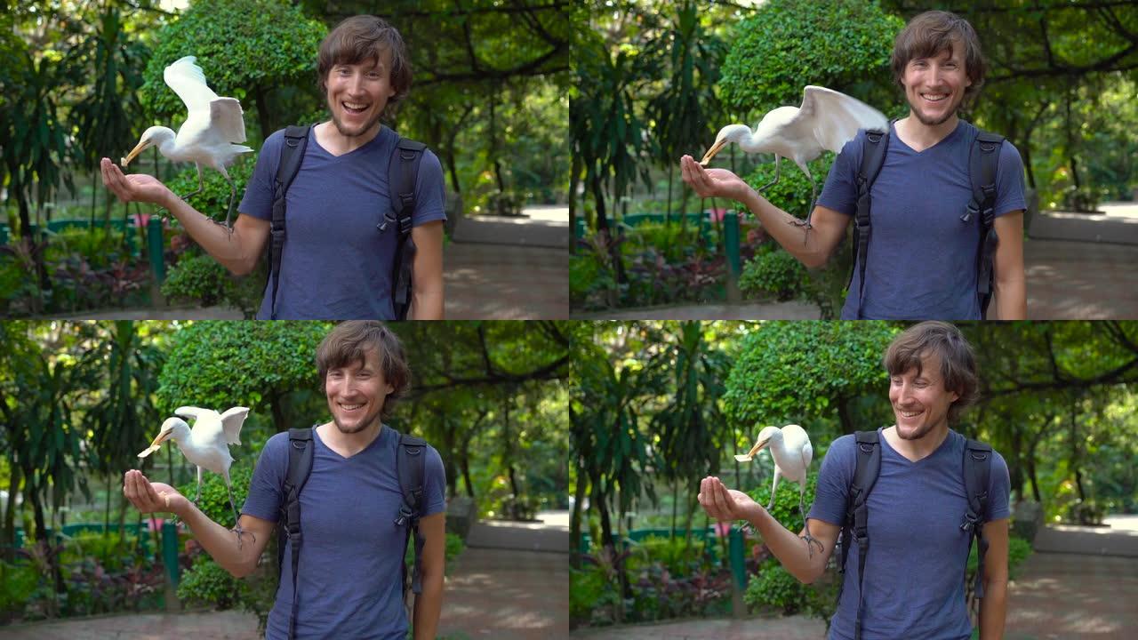 一个年轻人在鸟类公园玩得开心，用手喂白鹭的超慢镜头