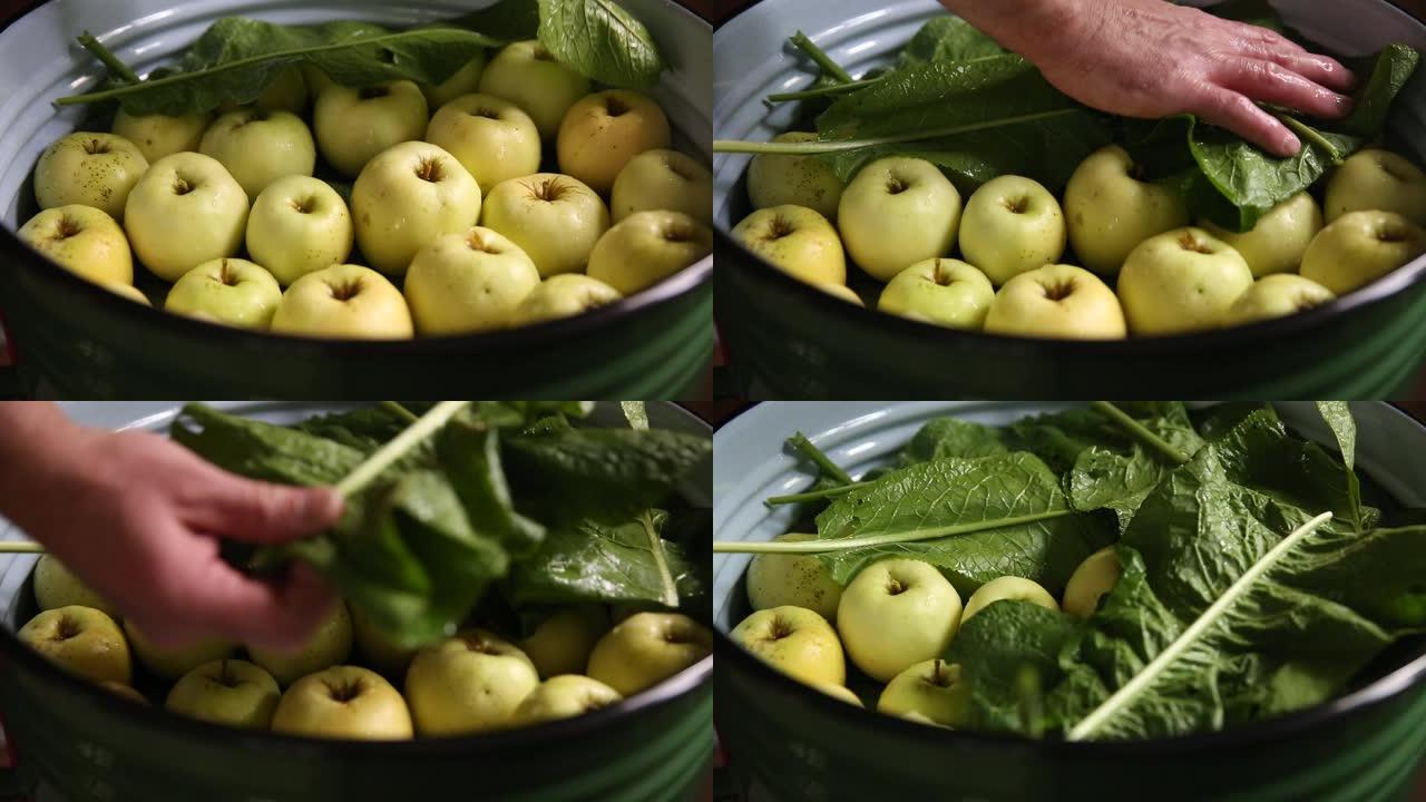 发酵蔬菜和水果。蜜饯。浸泡在大平底锅里的苹果。