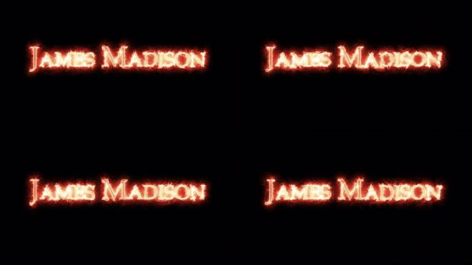 詹姆斯·麦迪逊用激情写作。循环