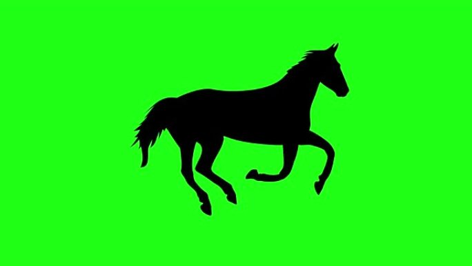 奔跑的马的轮廓。绿屏背景。4k动画。