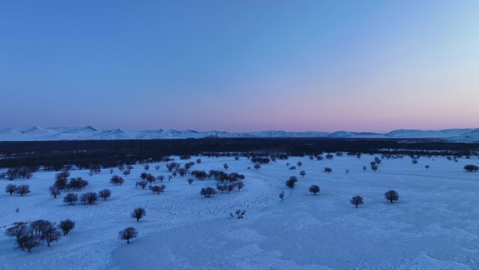 航拍4K湿地雪原树林曙光