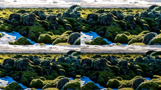 冰岛苔藓环境延时滑动视频