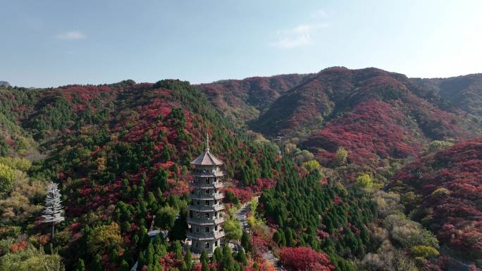 济南风景 红叶谷 秋天 4k航拍 01