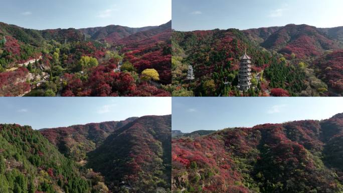 济南风景 红叶谷 秋天 4k航拍 01