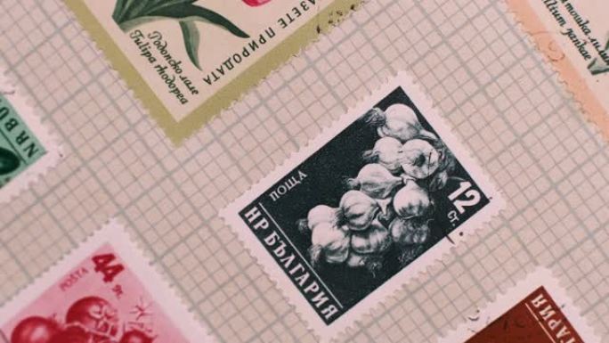 用邮票翻阅收藏相册，特写，宏观视图
