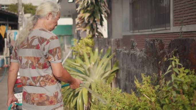 亚洲高级男子在家给室内植物浇水。