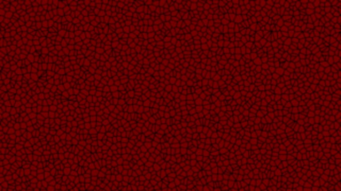 4k红色细菌动画 | 可循环