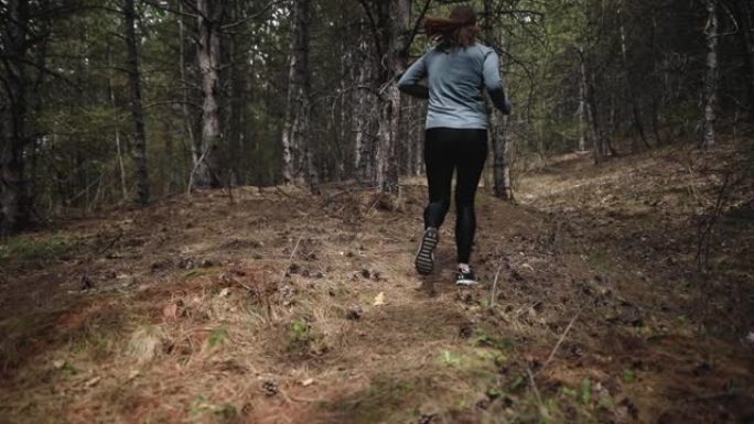 敬业的年轻健身女子清晨在森林慢跑