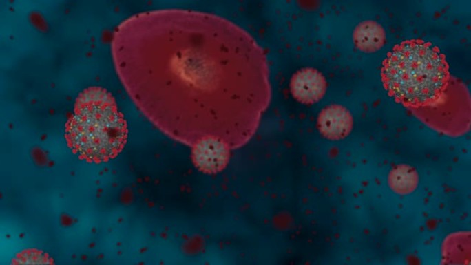 高度集中冠状病毒疾病新型冠状病毒肺炎。动画组病毒和红细胞特写。3D渲染4k
