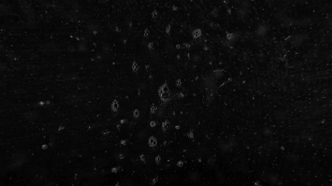 喷嚏细菌飞向相机镜头或黑色背景。冠状病毒大流行期间飞沫感染或传染的概念视频录像。