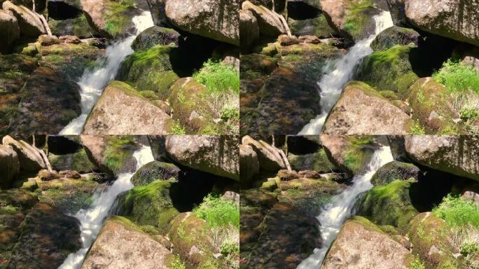 穿过森林的山涧河流空镜水流特写地下水源