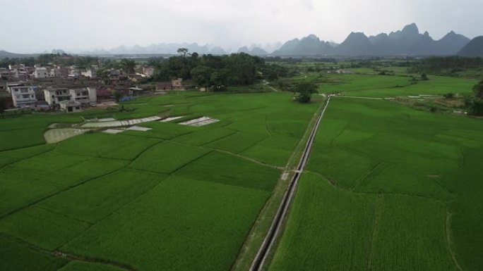 中国桂林喀斯特山区稻田的航拍视频