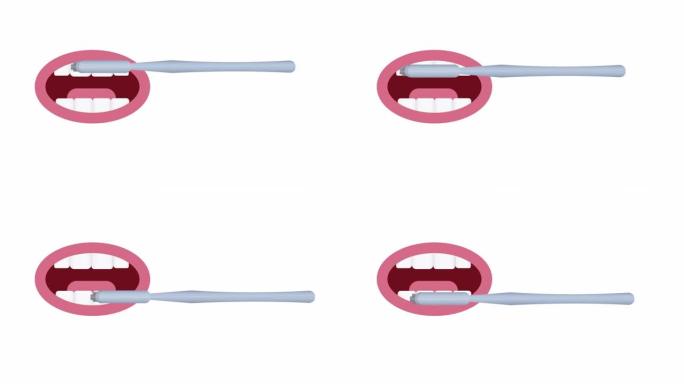 牙刷.刷牙的动画.卫生，卡通