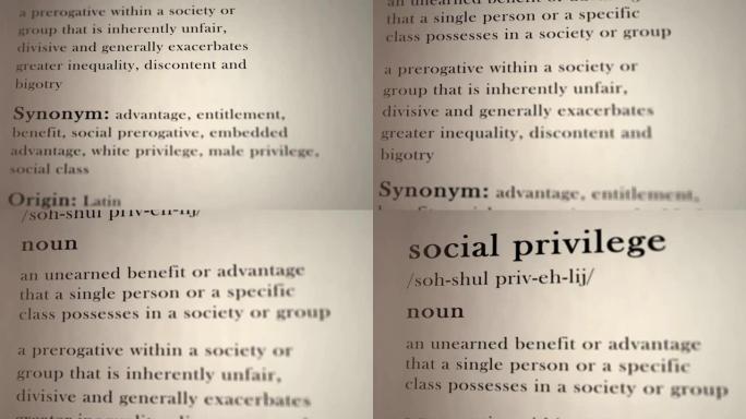 社会特权定义