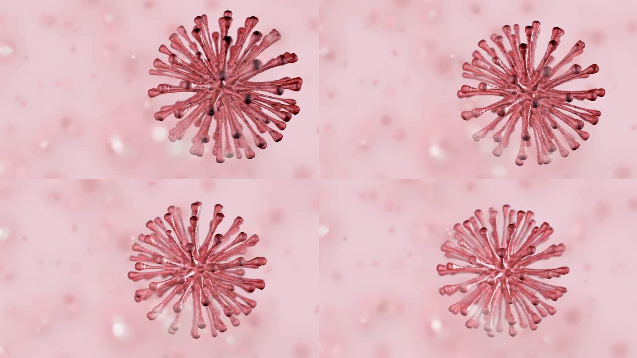 人类，细胞，细菌-4k动画镜头。