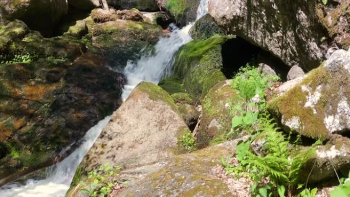 穿过森林的山涧森林海氧吧瀑布溪流水