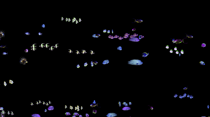 循环海底鱼群动画 带通道