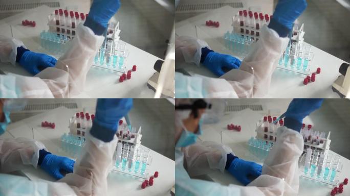 女性微生物学家检查感染冠状病毒的血液样本。新型冠状病毒肺炎诊断，酶联免疫吸附试验，抗体检测PCR分析