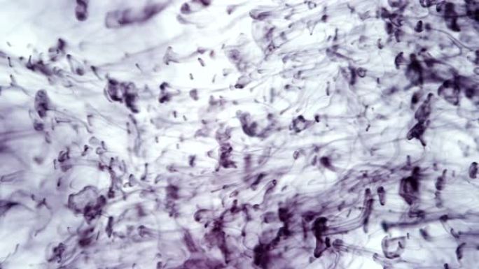 落在水中的紫色墨水滴的拍摄