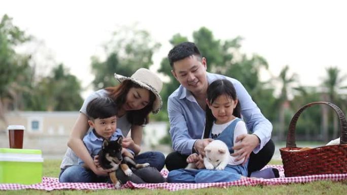 宠物爱好者。一个亚洲家庭和一只柴犬一起玩。家庭有父亲，母亲和儿子，女儿。在花园里野餐。