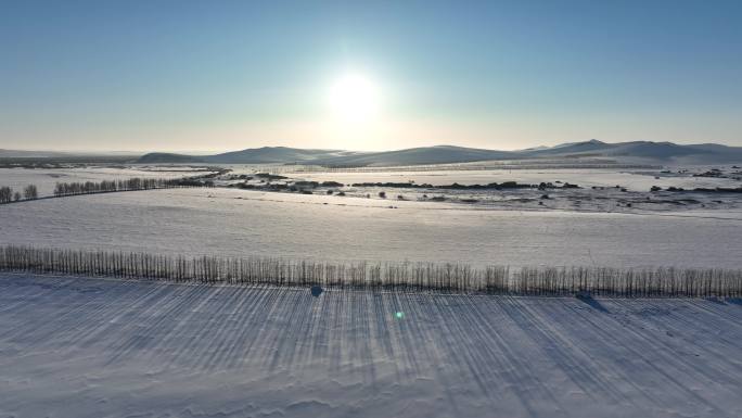 农垦垦区田野风景雪景